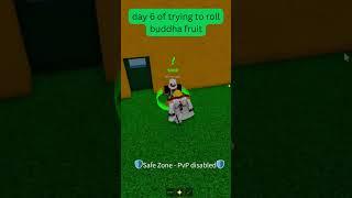 Day 6 rolling a fruit in blox fruit  #roblox #shortsfeed #bloxfruits #bloxfruitsroblox