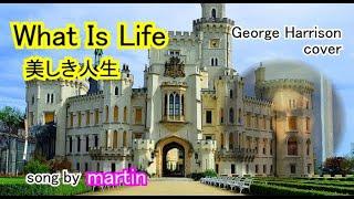 What Is Life / 美しき人生 George Harrison cover [日本語訳・英詞付き]　 song by martin