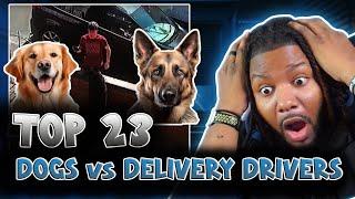 TOP 23 FUNNY Dogs Vs Delivery Drivers Pt. 1 | REACTION!!