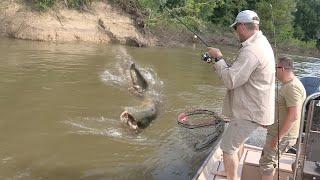 Pecanje soma na reci Savi kod Lonjskog polja u Hrvatskoj II deo | Fishing catfish in river Sava