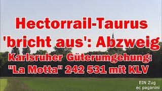 Hectorrail Taurus "bricht aus": Abzweig Karlsruher Güterumgehung "La Motta" 242.531 mit KLV-Zug