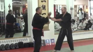 Martial Arts USA70th Birthday of Grand Master Bill McCloud day 2