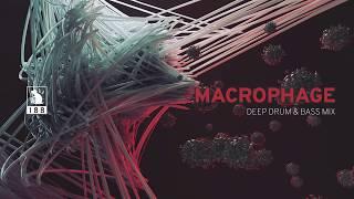 Macrophage | Deep Drum & Bass Mix