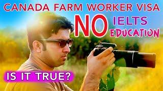 Canada Farm Worker Visa | Alert | Pakistani, Indians, Bangladeshi, UAE And Afghanistan People Beware