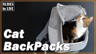 Are cat backpacks and carriers worth the money? Review of The Navigator by Travel Cat