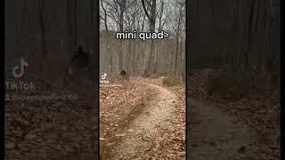 mini quad