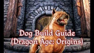 Dog Build Guide (Dragon Age: Origins) - B-Tier Guides