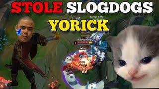 I STREAMSNIPED Slogdog And Stole His YORICK | Quinncidence