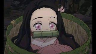 Momen Cute Nezuko(kimetsu no yaiba)sub indo