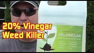 20% Acidity Vinegar Weed Killer Test---200 Grain White Vinegar