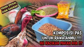 Racikan pakan ayam bangkok di masa rawatan