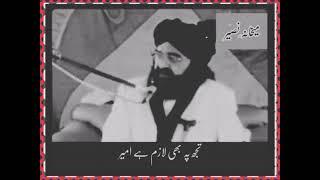 Peer Syed Naseerud Din Naseer Shah Jilani  ||Maikhana-e-Naseer