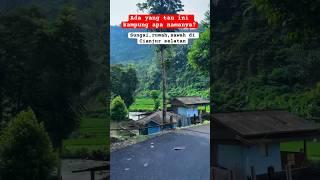 kampung di cianjur selatan #suasanakampung #kampungsunda #masawan #kampungjawabarat