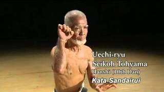 Okinawan karate master. Kata.