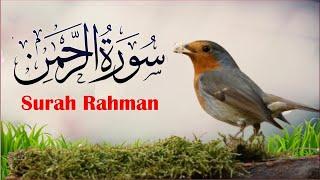  Live Surah Rahman Beautifull Voice | Most Quran Recitation | Daily Tilawat | Ayat e noor Ep 04