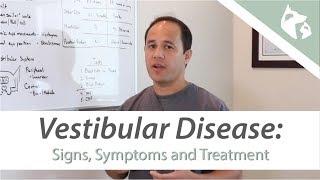 What is Vestibular Disease?