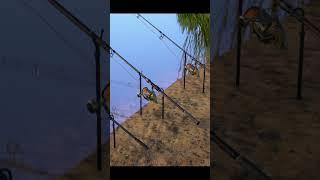 Carp fishing in the lake. Catching carp with boilies. RF4 part2 #shorts #fishing #gaming