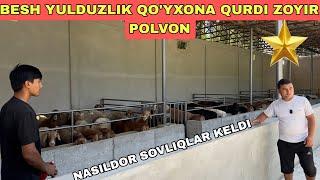 ZOYIR POLVON YANGI QO'RA QURDI NARXLARNI ARZON QOYDI