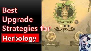 【Kang】Best Upgrade Strategies for Herbology Harry Potter Magic Awakened