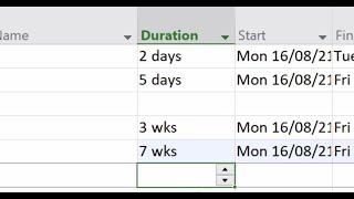 Changing the Default Duration in MS Project