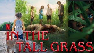 Netflix | In The Tall Grass (2019) Horror Full Movie HD 720p Fact & Some Details | Patrick Wilson