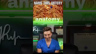 Med School Memes Pt 4: The harsh reality of ANATOMY Class