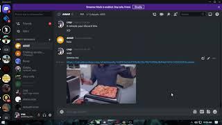 cool video crashes your discord