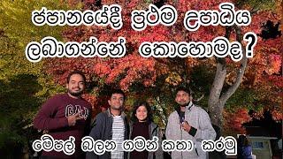 ජපානයේදී ප්‍රථම උපාධිය හදාරන්නේ කෙසේද? How to study Bachelors Degree in Japan-  Autumn Vlog - E3