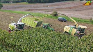 Großeinsatz Mais häckseln 2019 - Krone BigX 850, Claas Jaguar 970 farmer corn harvest Maisernte