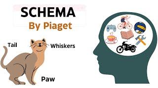 Piaget - Schema in 2 minutes | Constructs and Critical Perspectives