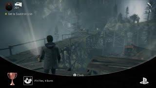 Alan Wake Remastered - If It Flies, It Burns - Trophy