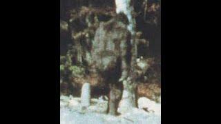 The Patterson Bigfoot Film (Stabilized, Slow and Smooth)