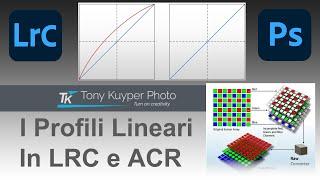 RAW Files - Profili Lineari in LightRoom Classic & PS Camera Raw