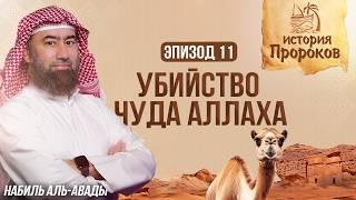 История Пророков #11: Убийство Верблюдицы Аллаха | Шейх Набиль аль-Авады