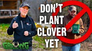 Best Time to Plant Clover Food Plots