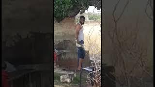 fight | vilagge desi fight | pind life | wwf