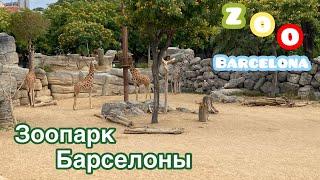 ВЛОГ зоопарк Барселоны Испания 2022. Стоит ли идти в ZOO?