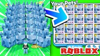 I spent over ONE MILLION ROBUX in PET SIMULATOR X ROBLOX