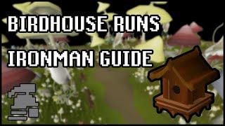 Birdhouse Runs [Ironman Guide] [Updated 2020]