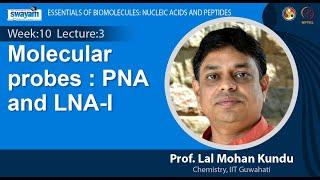 Lecture 31: Molecular probes : PNA and LNA-I