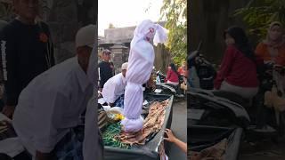 Pocong bangun siang bolong