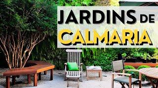 Transforme o quintal num paraíso Verde: 5 Dicas Essenciais de jardim e decoração