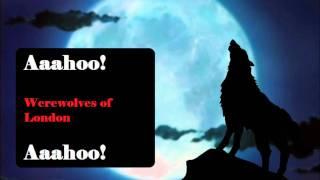 Werewolves of London - Lyrics