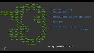 Scapy with scripting