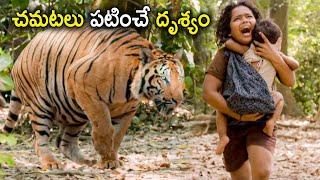 Mohanlal Telugu Biggest Tiger Fight Scene | Mohanlal | Namitha | Tollywood Pictures