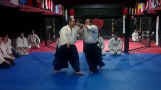 Oyo Waza Morote Dori İrimi Nage -UAO