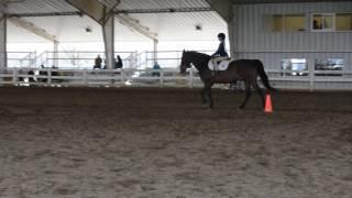 Reese & Cody in Eq (Butterfly Pattern); 4/15/17