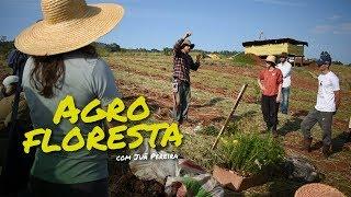 Curso: Agrofloresta com Juã Pereira