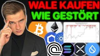 Krypto: Tut mir Leid, DENN der BULLRUN ist sowas von NICHT abgesagt!