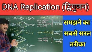 DNA Replication. DNA का द्विगुणन (पुनरावृत्ति)।